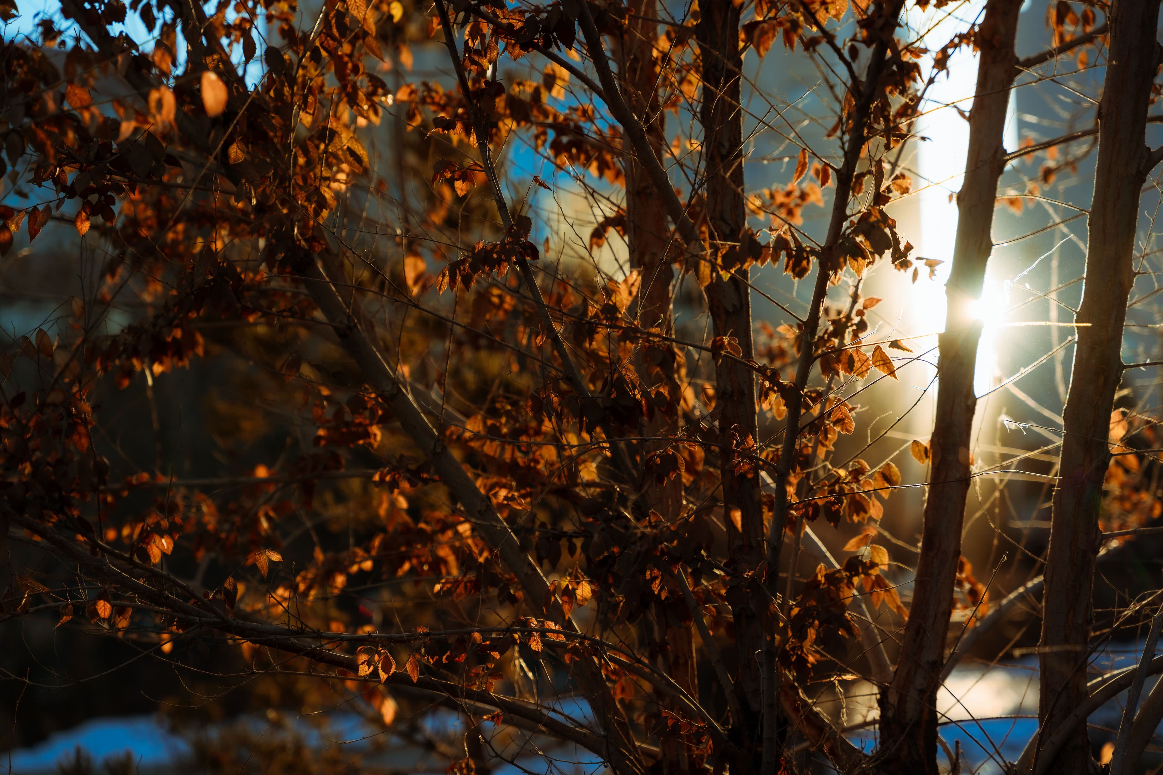 In Ulaanbaatar: Golden Hour