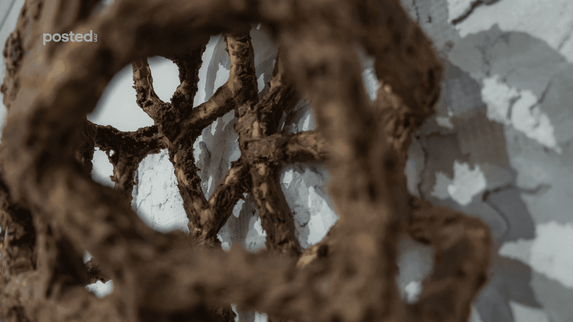 Frame 1261156543.png