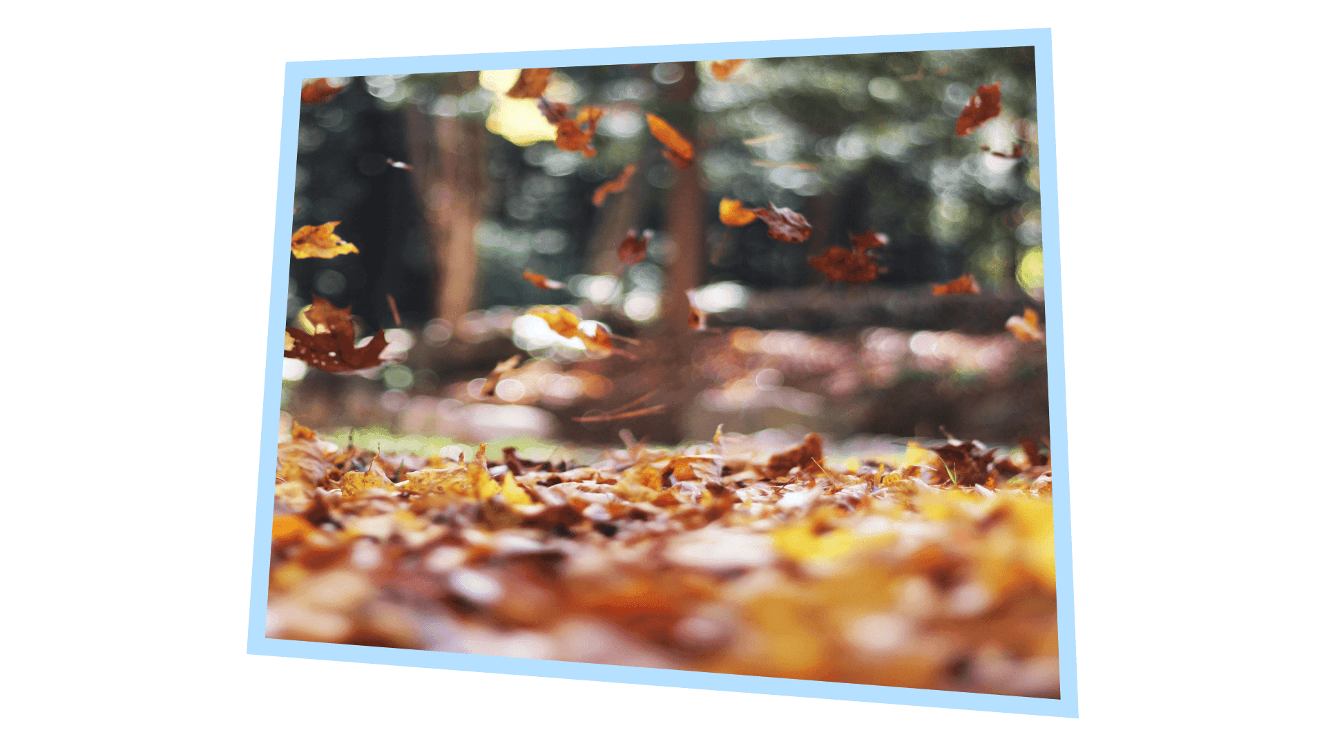 Frame 1261156631.png