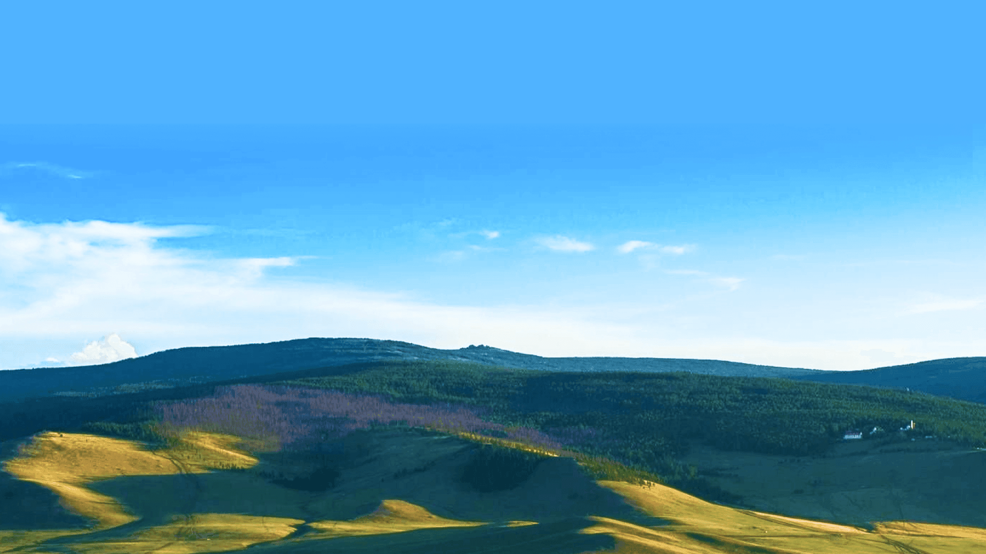 Frame 1261156632.png