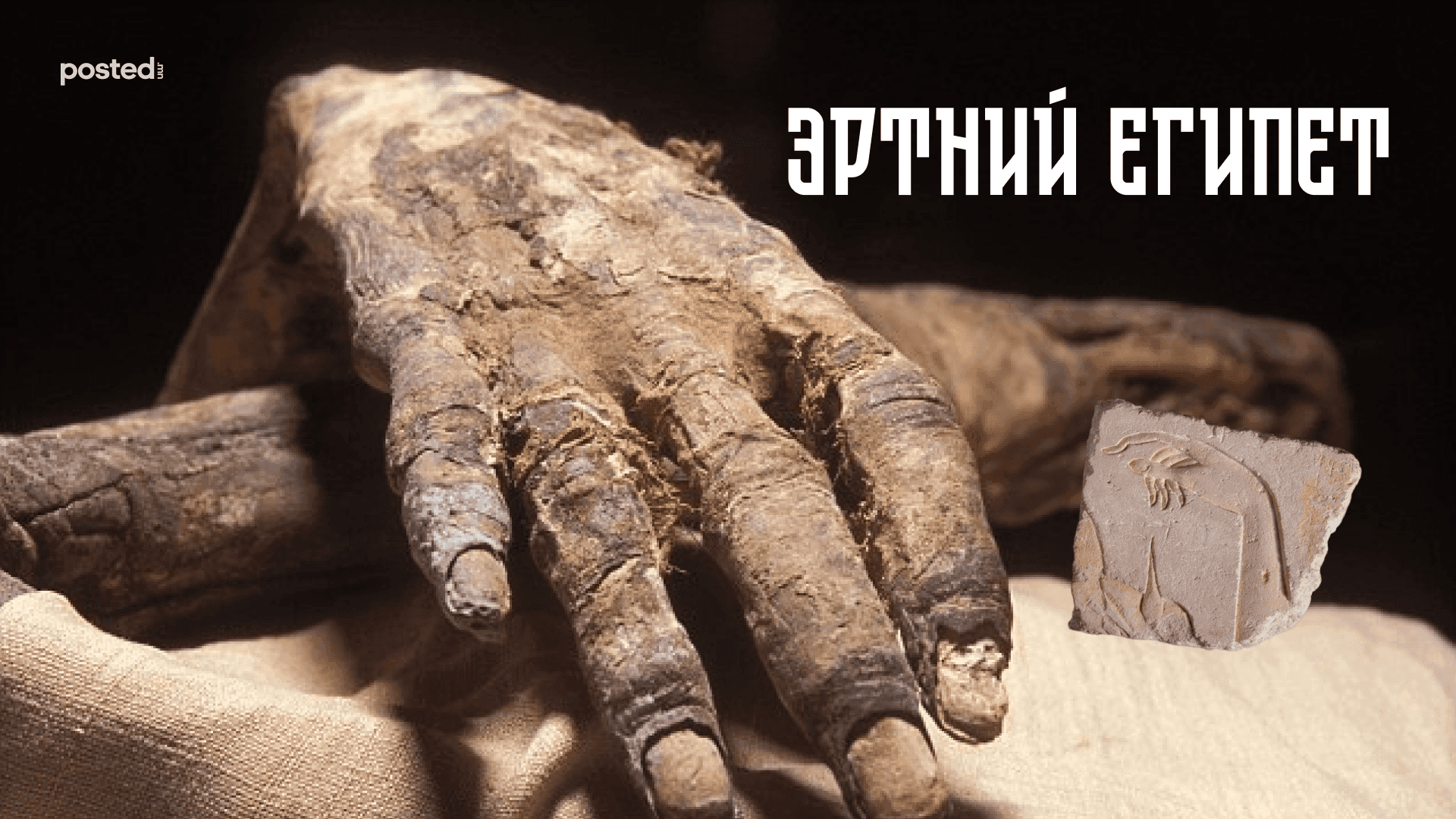 Frame 1261156659.png