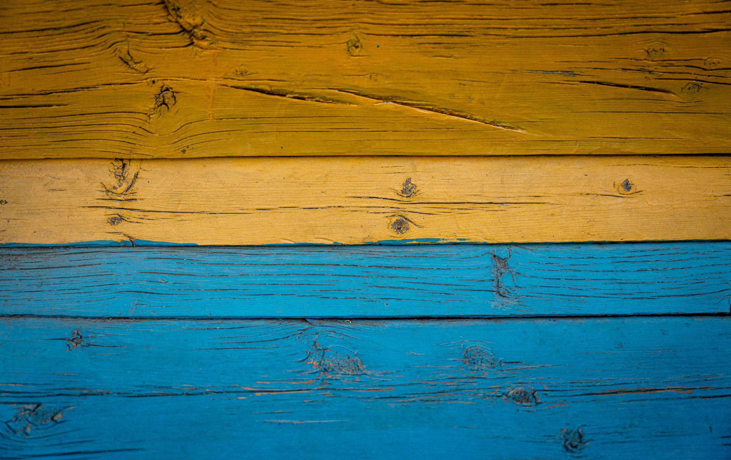 Frame 1261156949.jpg