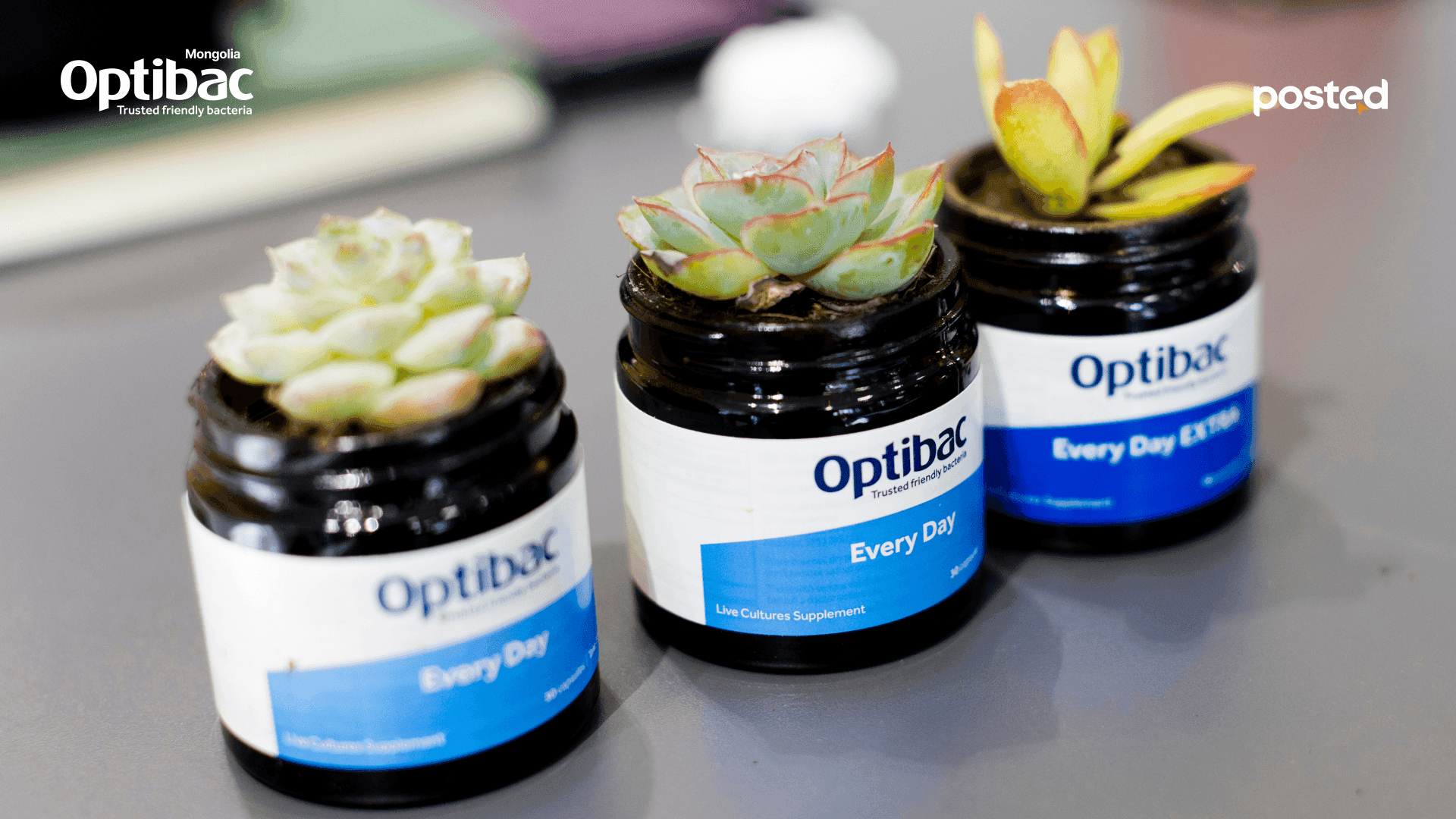 Frame 1261156990.png