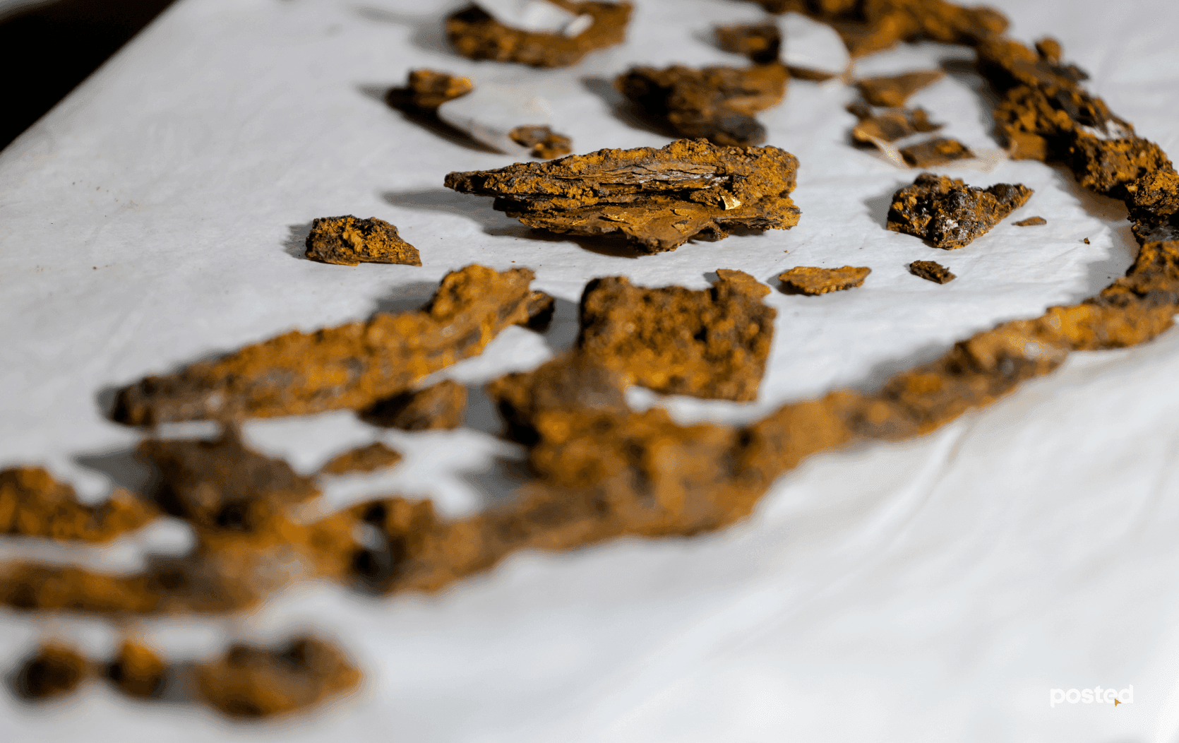 Frame 1261157688.png