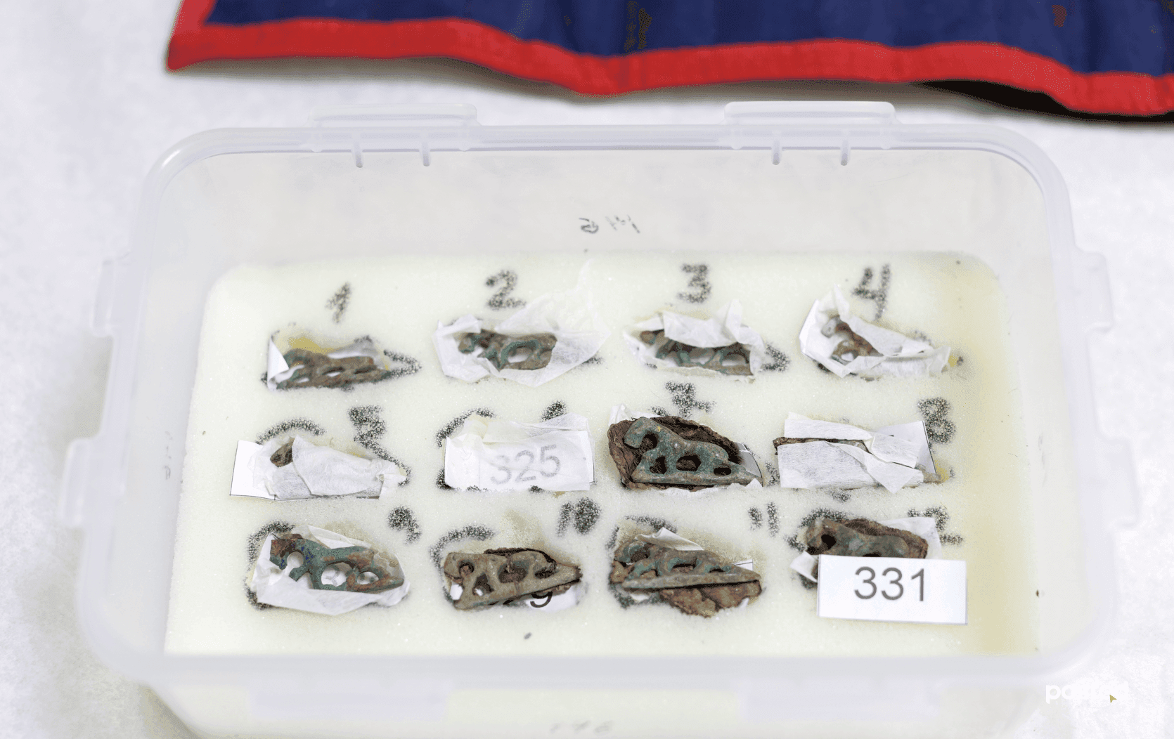 Frame 1261157693.png