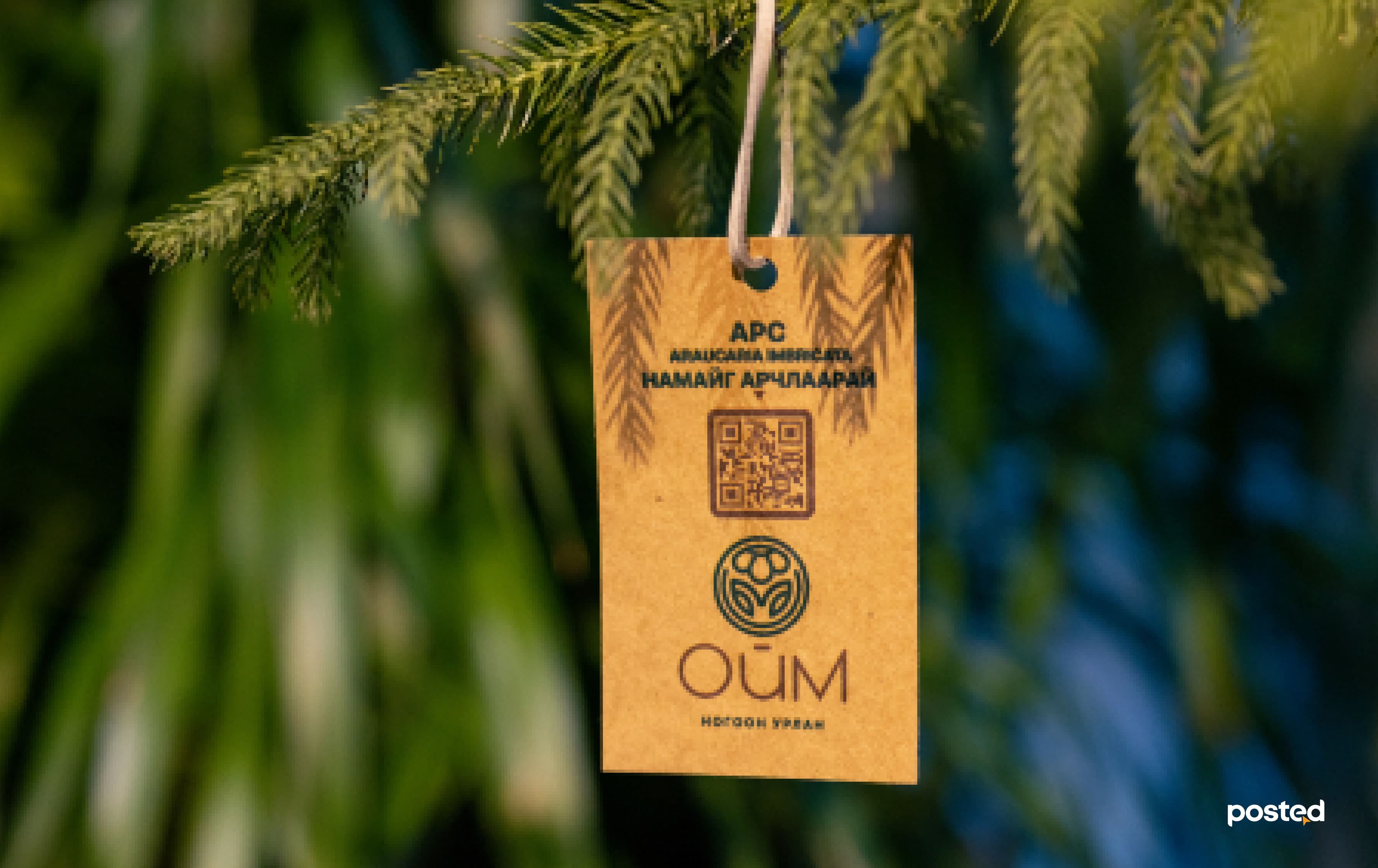 Frame 1261158360.jpg