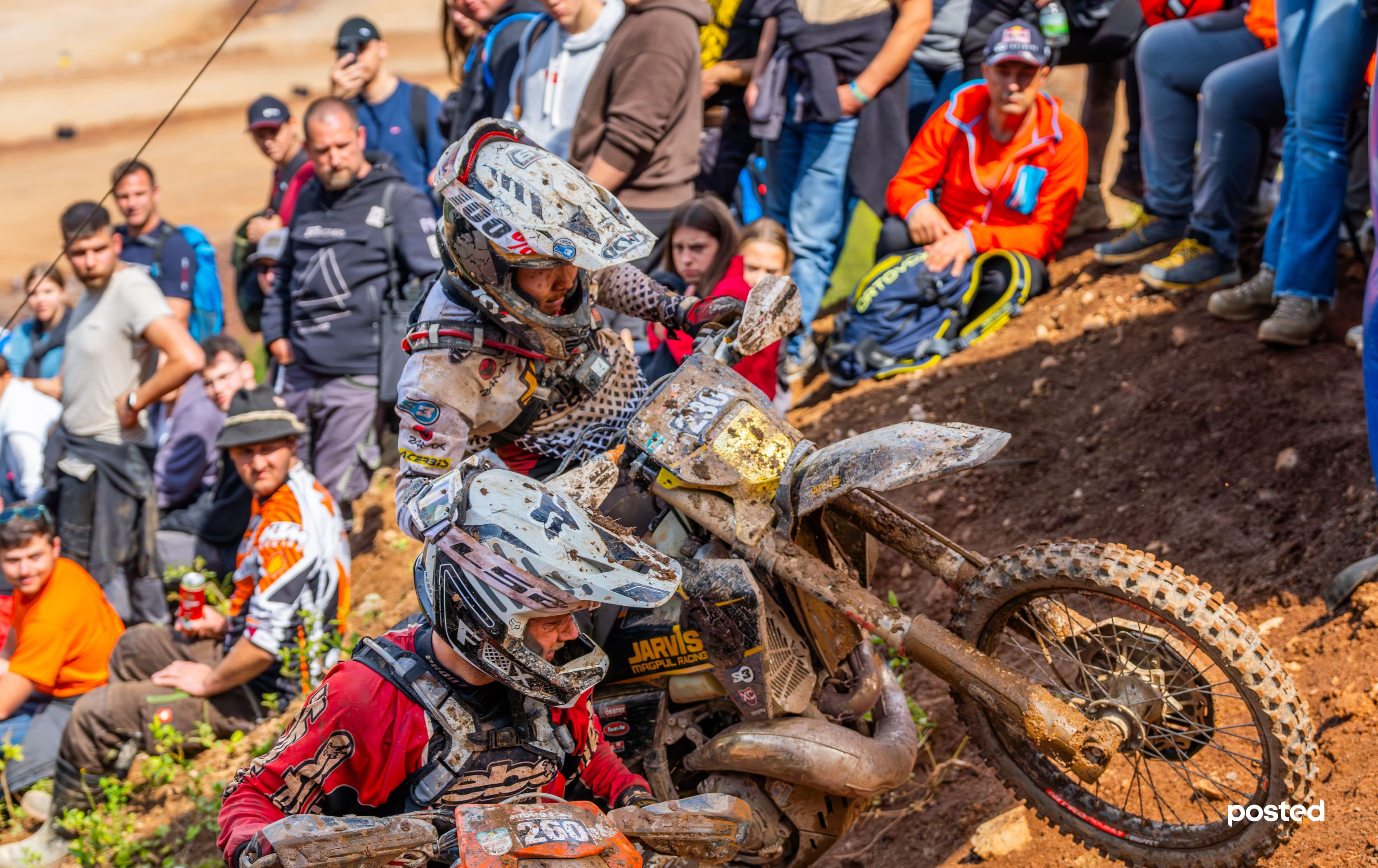 Frame 1261159612.jpg