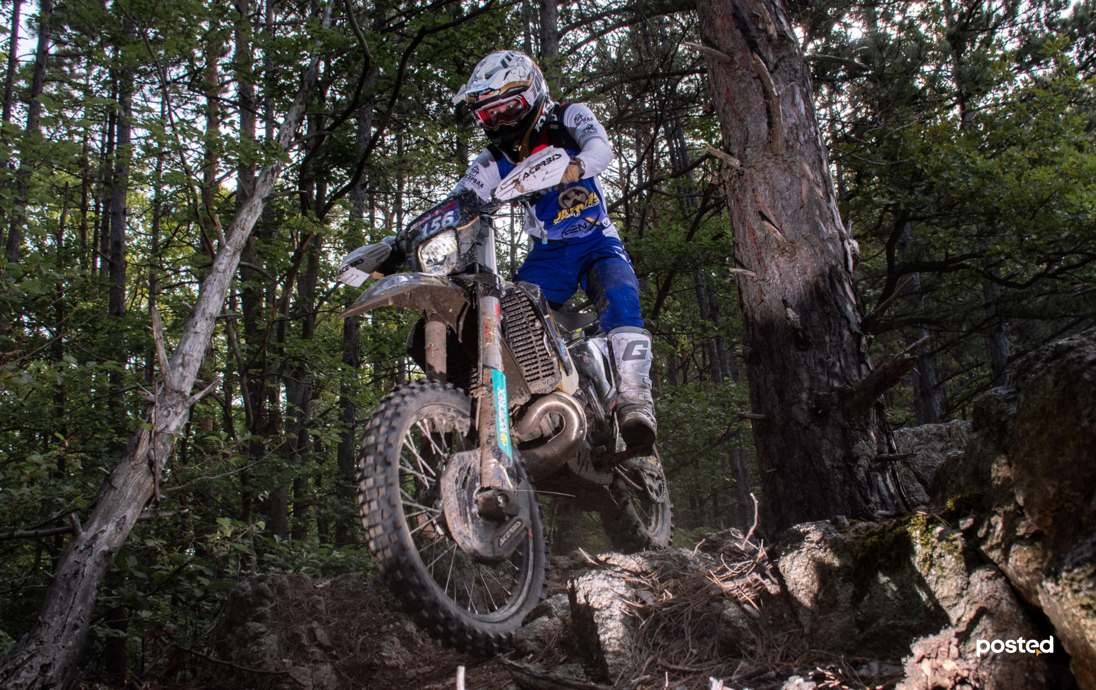 Frame 1261159616.jpg