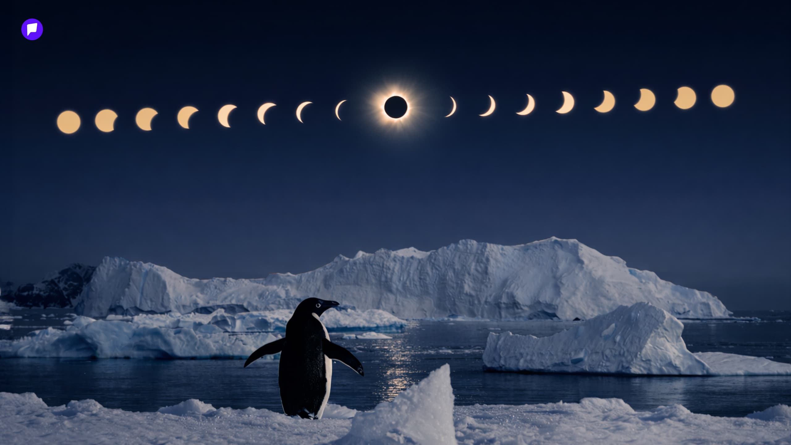 Оцон шувууд л харах боломжтой нарны хиртэлт