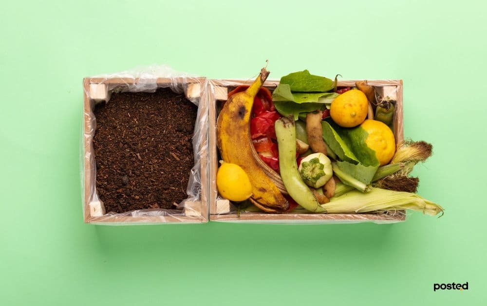 Хэрхэн хоолны хог хаягдлаа бордоо болгож ашиглах вэ? - нийтлэлийн зураг (гар утасны хувилбар)